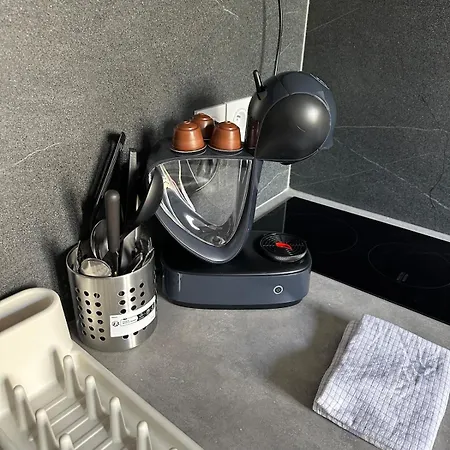 Cosy En Face De La Gare Sncf * 格勒诺布尔